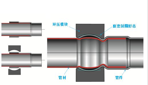 環(huán)壓式不銹鋼管件